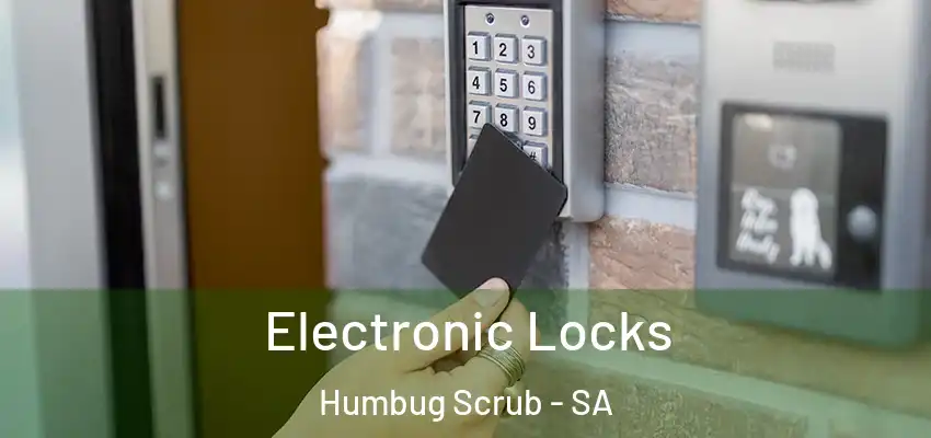 Electronic Locks Humbug Scrub - SA