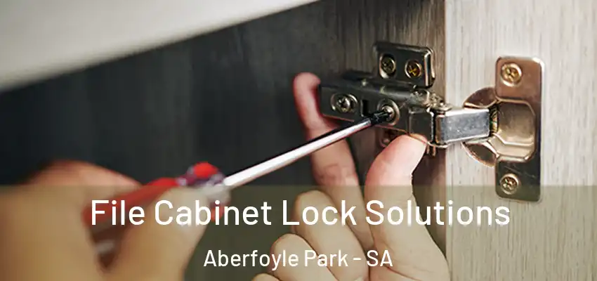  File Cabinet Lock Solutions Aberfoyle Park - SA