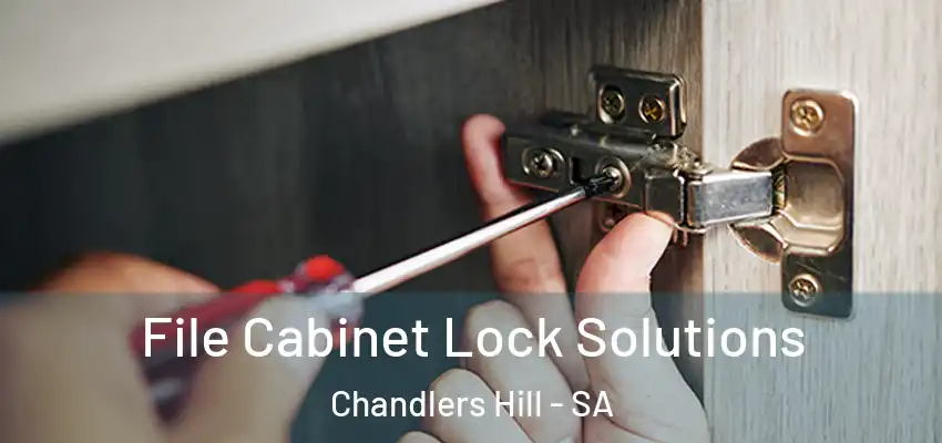 File Cabinet Lock Solutions Chandlers Hill - SA