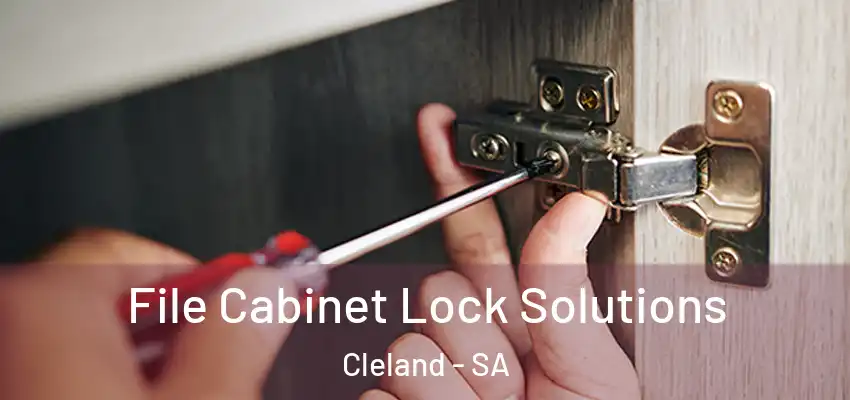 File Cabinet Lock Solutions Cleland - SA