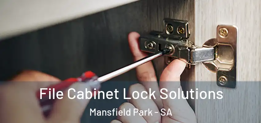 File Cabinet Lock Solutions Mansfield Park - SA