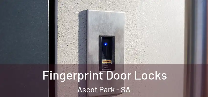 Fingerprint Door Locks Ascot Park - SA