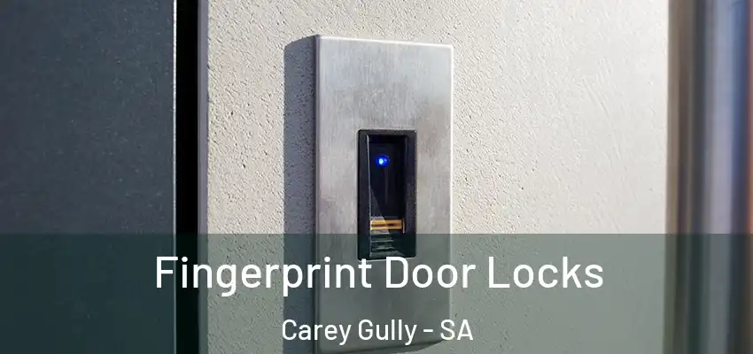 Fingerprint Door Locks Carey Gully - SA