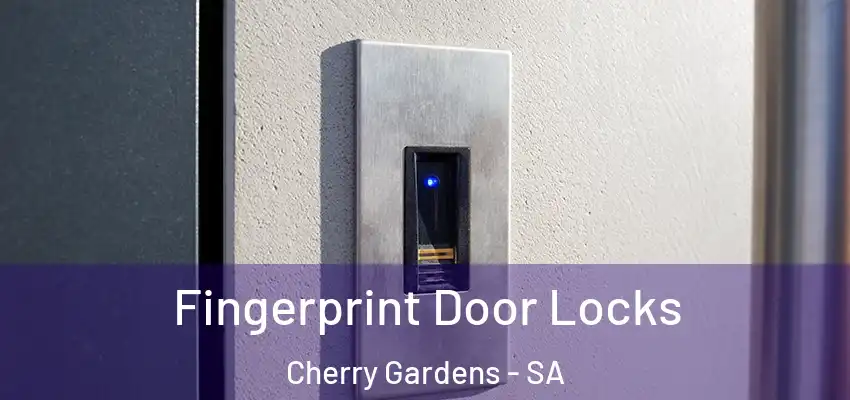 Fingerprint Door Locks Cherry Gardens - SA