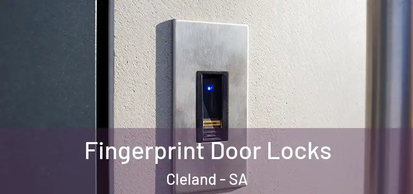 Fingerprint Door Locks Cleland - SA