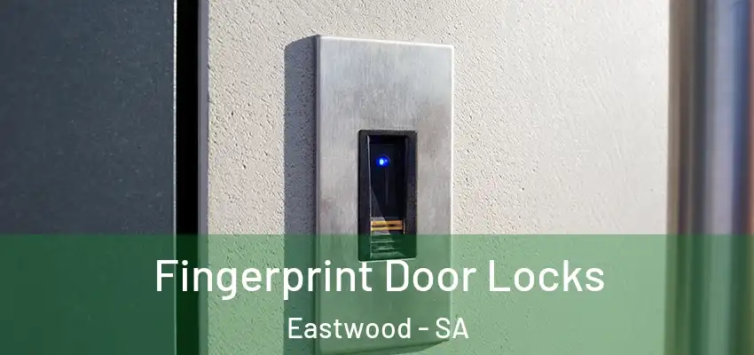 Fingerprint Door Locks Eastwood - SA