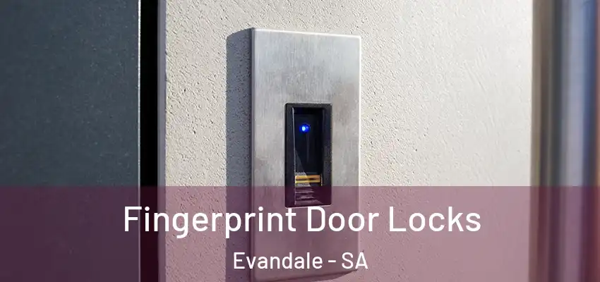 Fingerprint Door Locks Evandale - SA