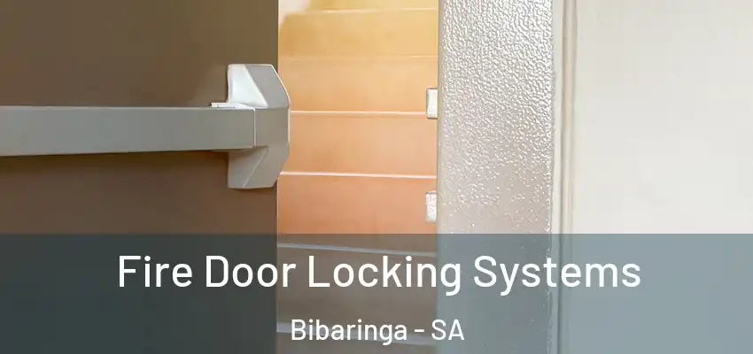  Fire Door Locking Systems Bibaringa - SA