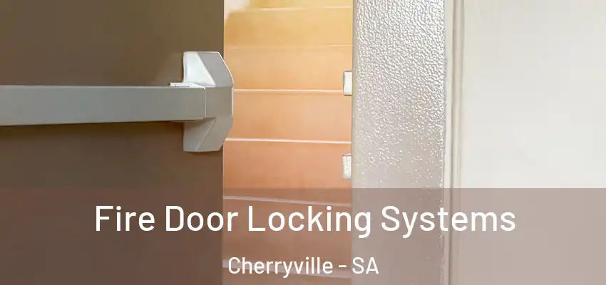 Fire Door Locking Systems Cherryville - SA