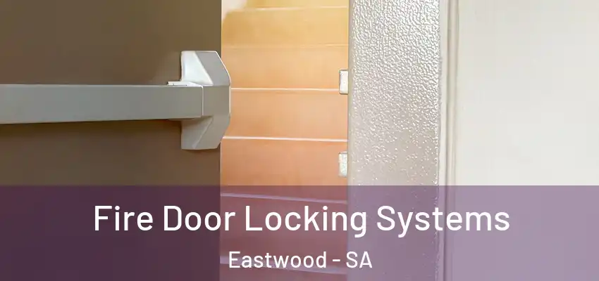 Fire Door Locking Systems Eastwood - SA