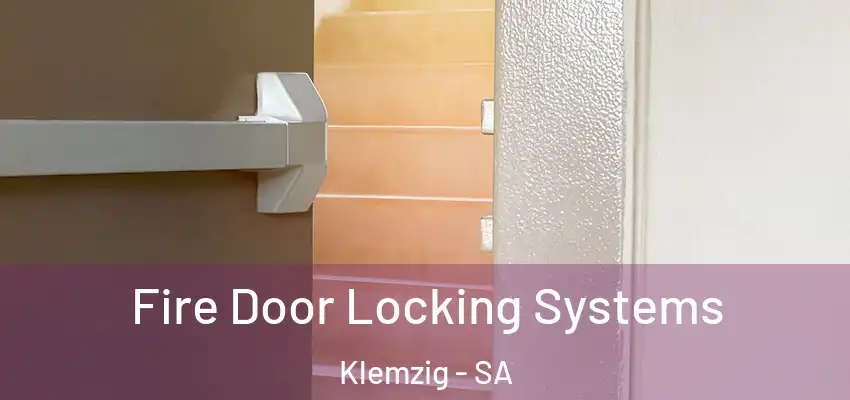 Fire Door Locking Systems Klemzig - SA