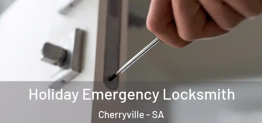 Holiday Emergency Locksmith Cherryville - SA