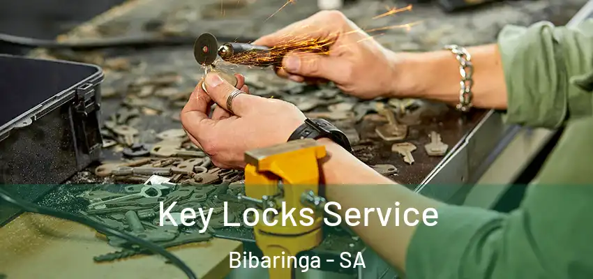 Key Locks Service Bibaringa - SA