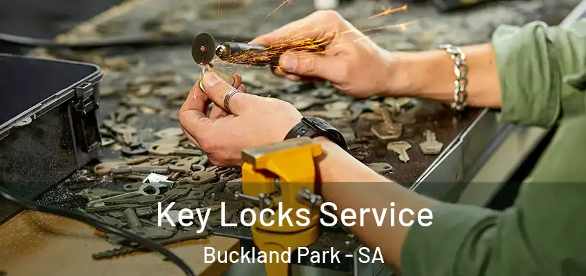 Key Locks Service Buckland Park - SA
