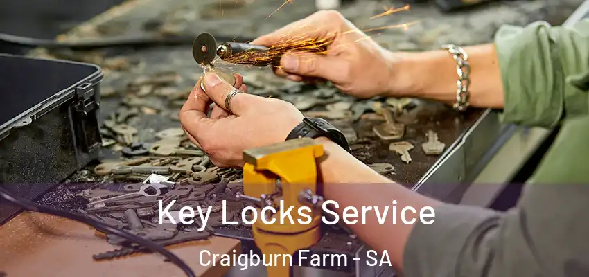  Key Locks Service Craigburn Farm - SA