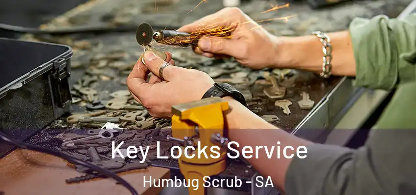  Key Locks Service Humbug Scrub - SA