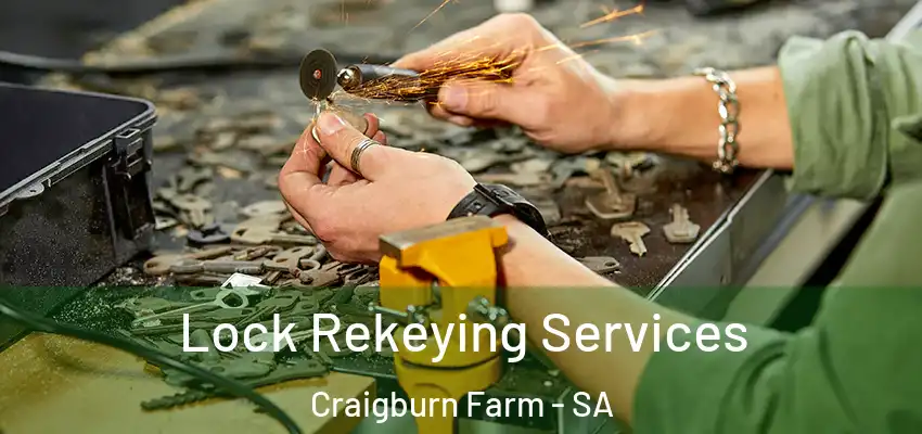 Lock Rekeying Services Craigburn Farm - SA