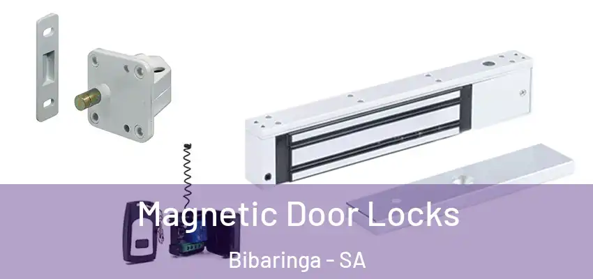 Magnetic Door Locks Bibaringa - SA