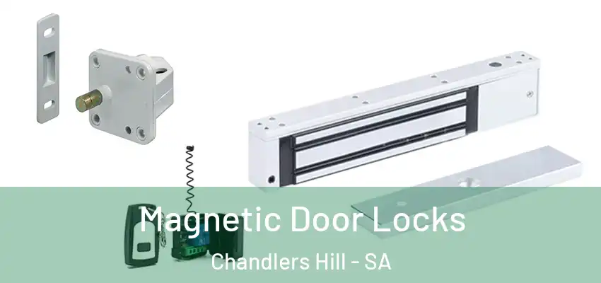 Magnetic Door Locks Chandlers Hill - SA