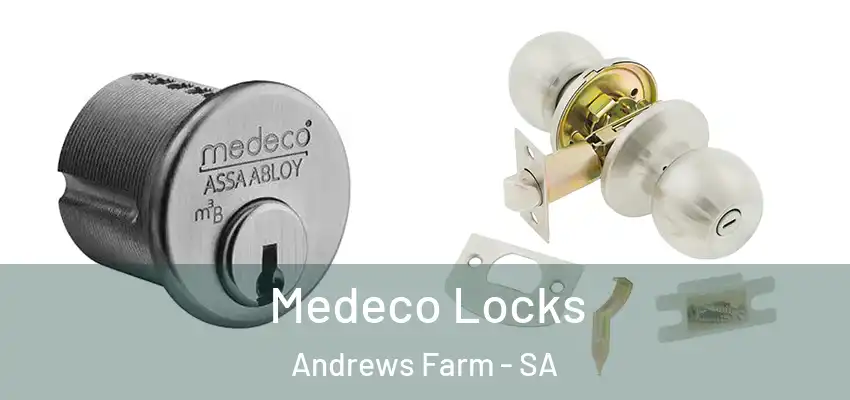  Medeco Locks Andrews Farm - SA