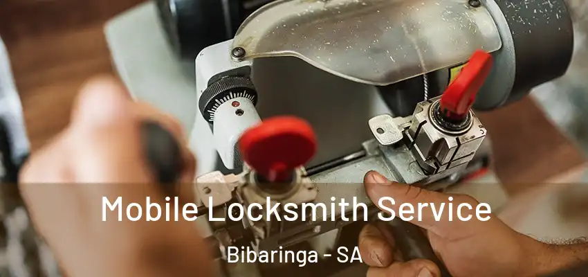 Mobile Locksmith Service Bibaringa - SA