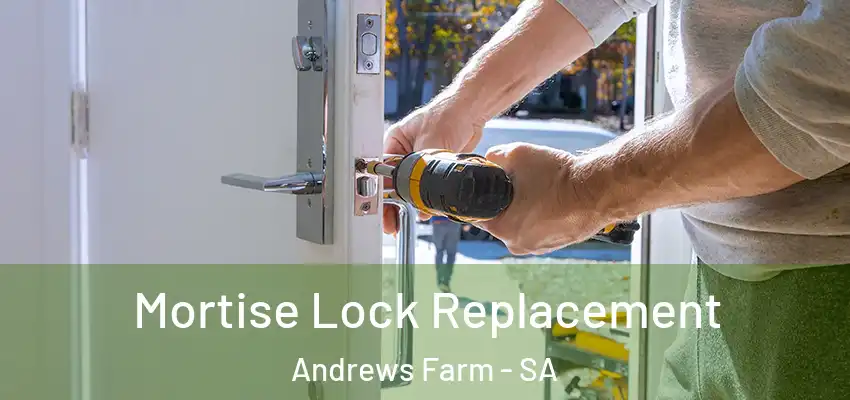 Mortise Lock Replacement Andrews Farm - SA