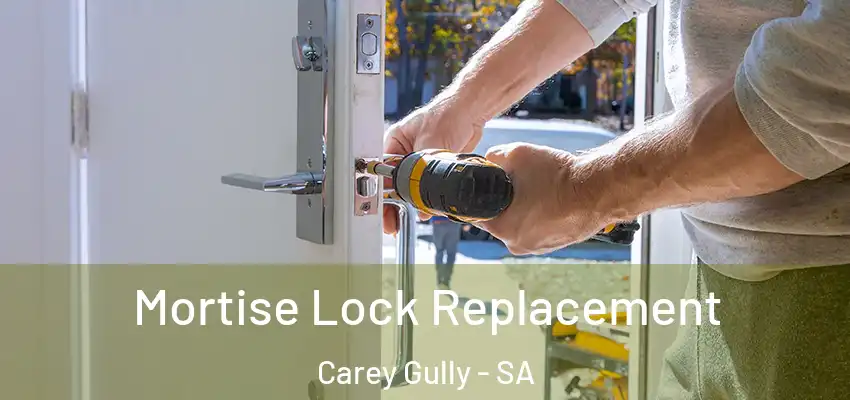 Mortise Lock Replacement Carey Gully - SA