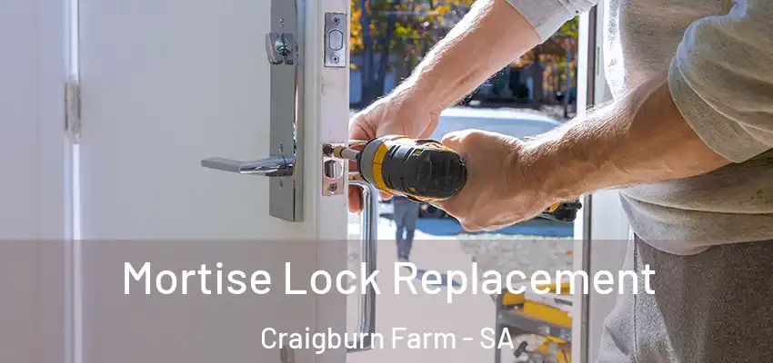 Mortise Lock Replacement Craigburn Farm - SA