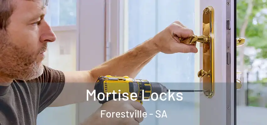  Mortise Locks Forestville - SA