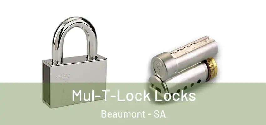 Mul-T-Lock Locks Beaumont - SA