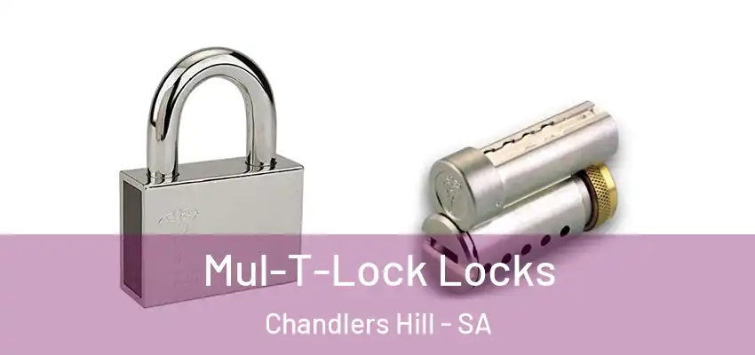Mul-T-Lock Locks Chandlers Hill - SA