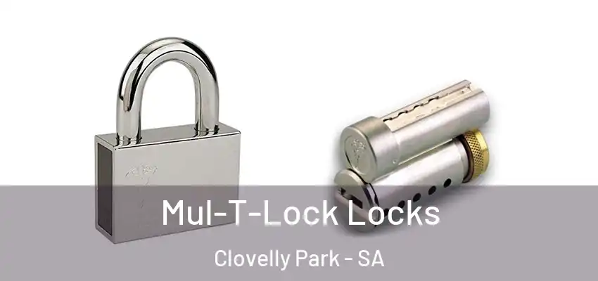  Mul-T-Lock Locks Clovelly Park - SA