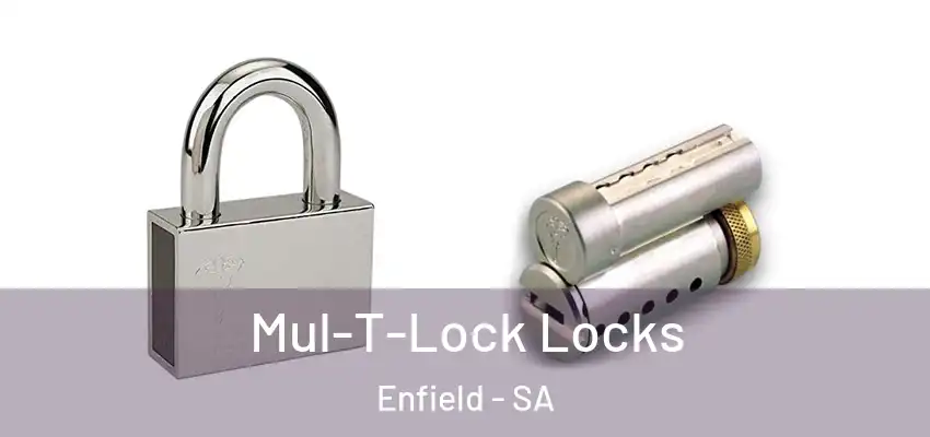  Mul-T-Lock Locks Enfield - SA
