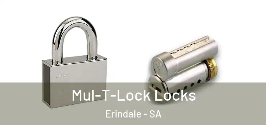 Mul-T-Lock Locks Erindale - SA