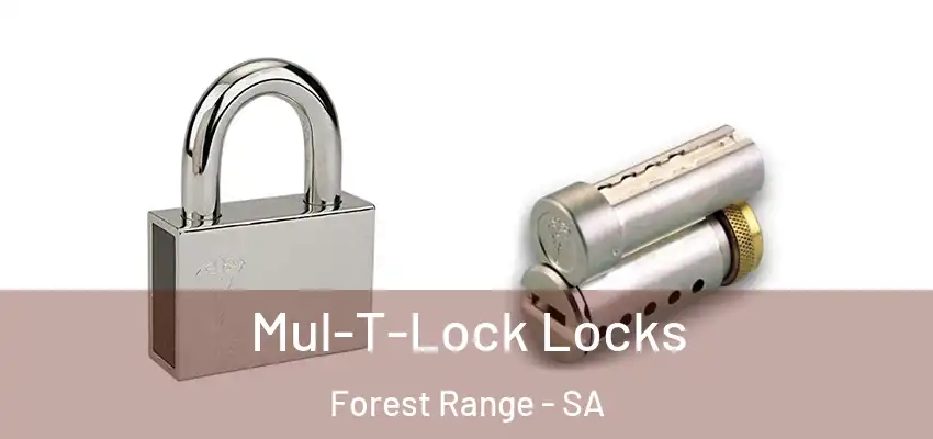 Mul-T-Lock Locks Forest Range - SA