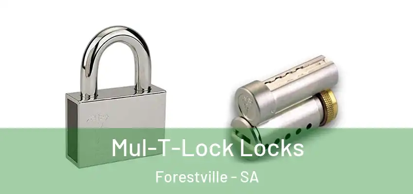  Mul-T-Lock Locks Forestville - SA