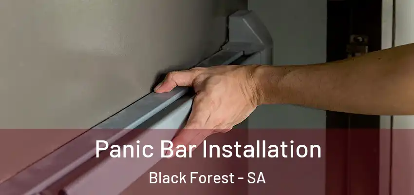 Panic Bar Installation Black Forest - SA