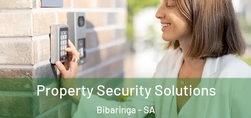 Property Security Solutions Bibaringa - SA
