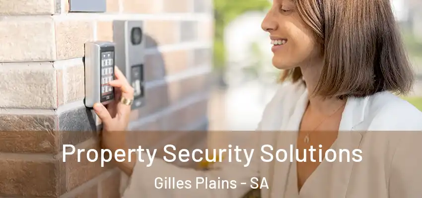 Property Security Solutions Gilles Plains - SA
