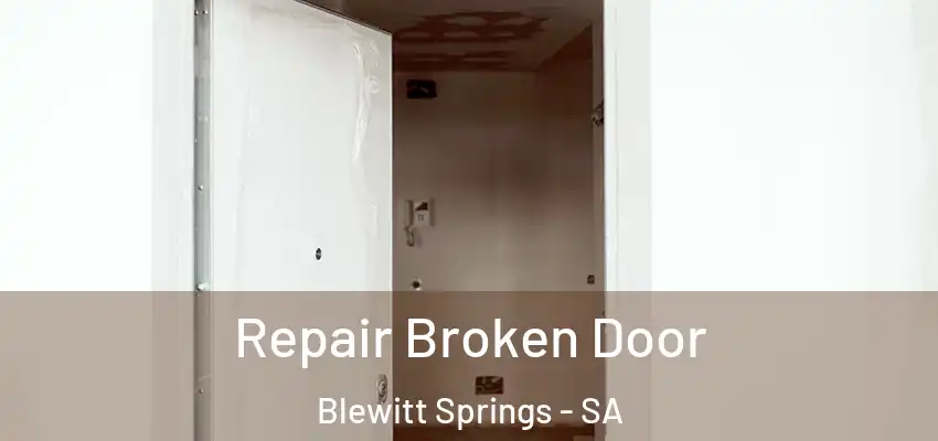 Repair Broken Door Blewitt Springs - SA
