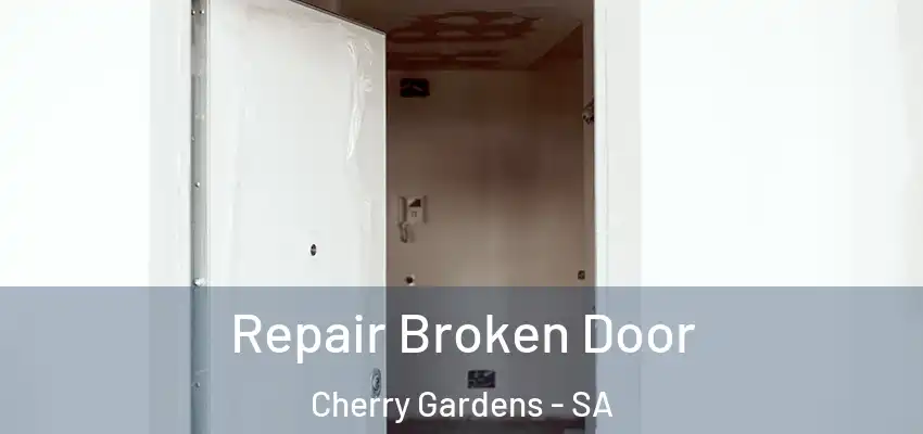 Repair Broken Door Cherry Gardens - SA
