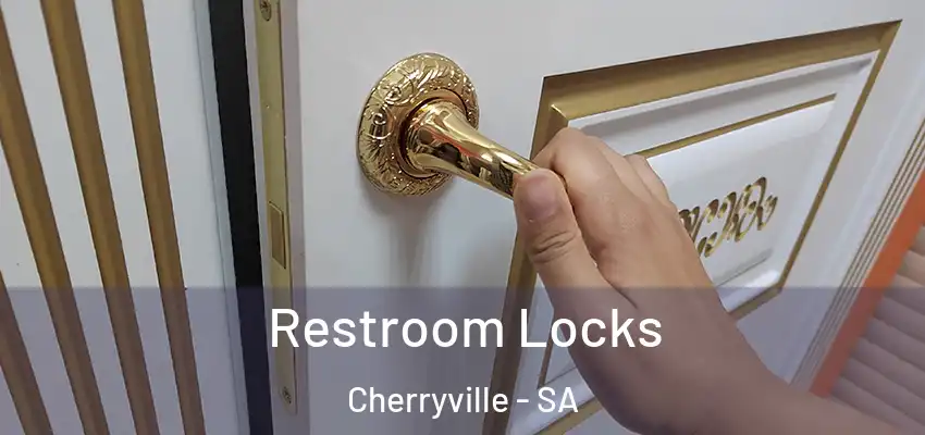  Restroom Locks Cherryville - SA