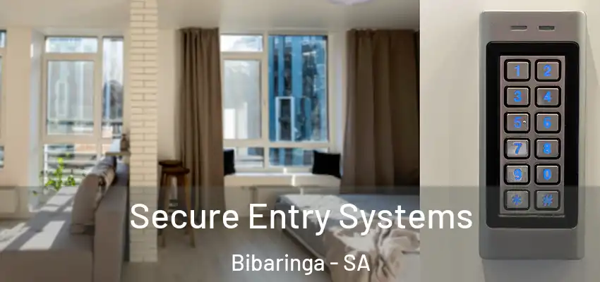  Secure Entry Systems Bibaringa - SA