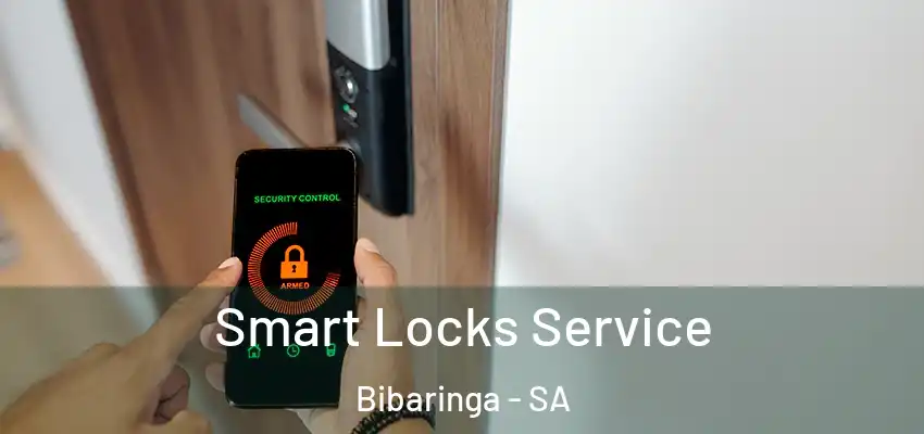 Smart Locks Service Bibaringa - SA