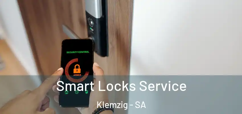 Smart Locks Service Klemzig - SA