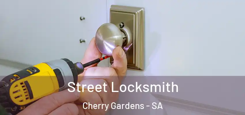 Street Locksmith Cherry Gardens - SA