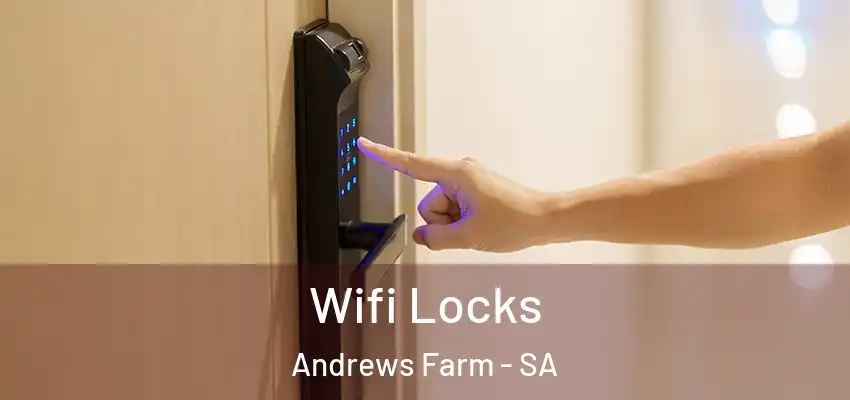 Wifi Locks Andrews Farm - SA