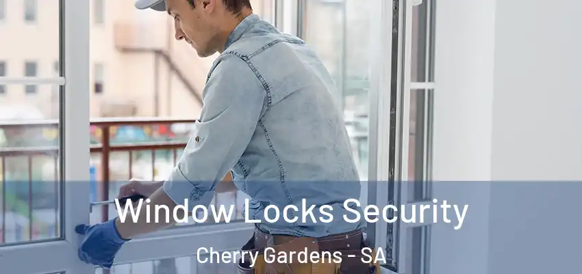 Window Locks Security Cherry Gardens - SA