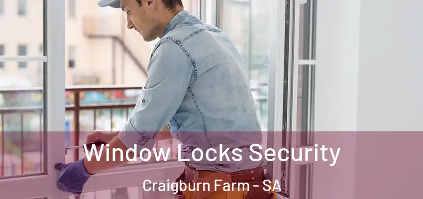 Window Locks Security Craigburn Farm - SA